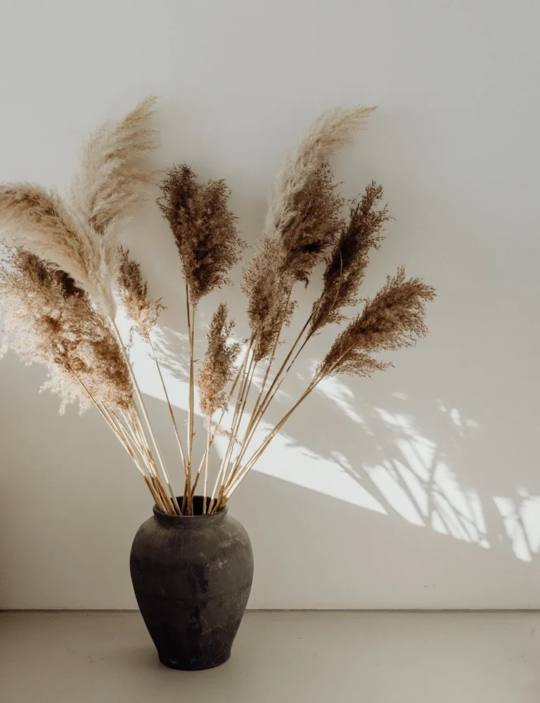 Skateboard chillwave viral master cleanse